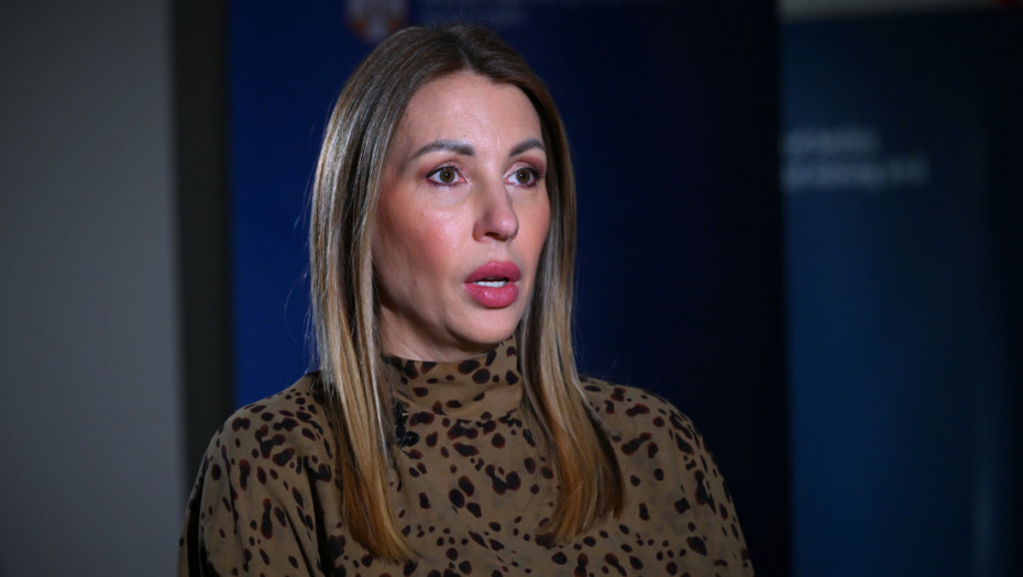 Đedović: Srbija opredeljena za povezivanje sa drugim zemljama u energetskom sektoru