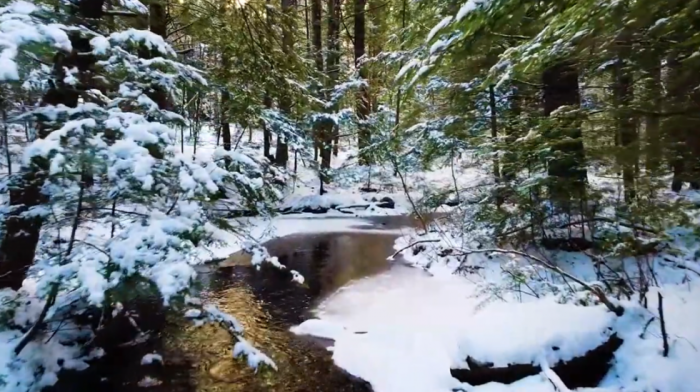 U Crnoj Gori zbog nevremena zatvoren Nacionalni park Biogradska gora