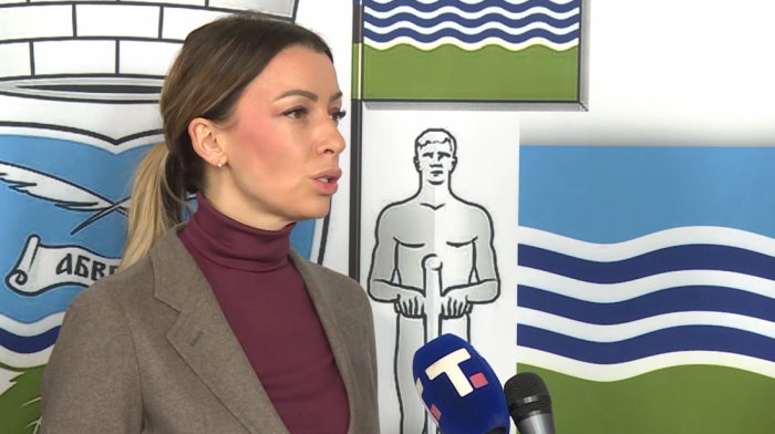 Mesarović: Struja u Mačvanskom i Kolubarskom okrugu u naredna 72, a u Majdanpeku za 1 sat