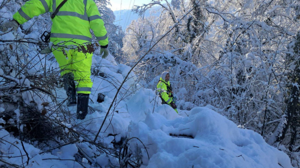 Direktor EDS Loznica: Bez struje zbog nemogućnosti seče stabala na privatnim imanjima