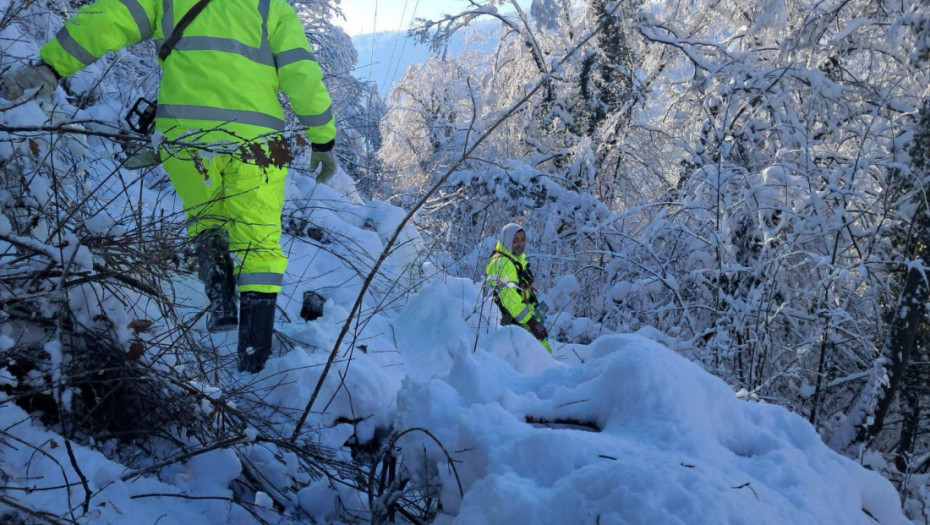 Direktor EDS Loznica: Bez struje zbog nemogućnosti seče stabala na privatnim imanjima