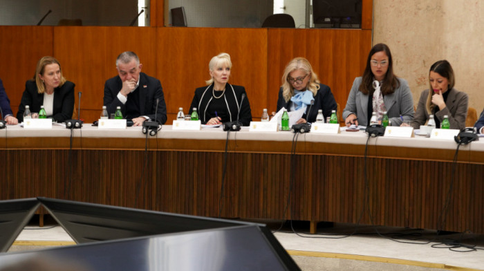 Mesarović: Struju nema 0,35 odsto potrošača, dobiće svi do kraja dana ili sutra