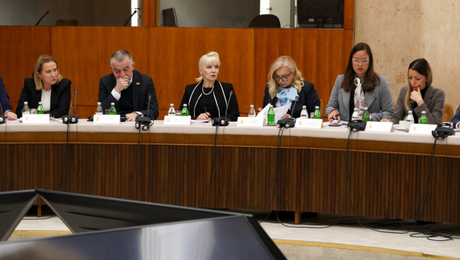 Mesarović: Struju nema 0,35 odsto potrošača, dobiće svi do kraja dana ili sutra