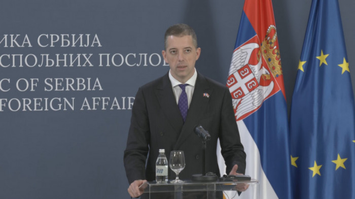 Đurić: Delegacija Evropskog parlamenta će biti primljena, ali nivo prijema je suvereno i diskreciono pravo Srbije