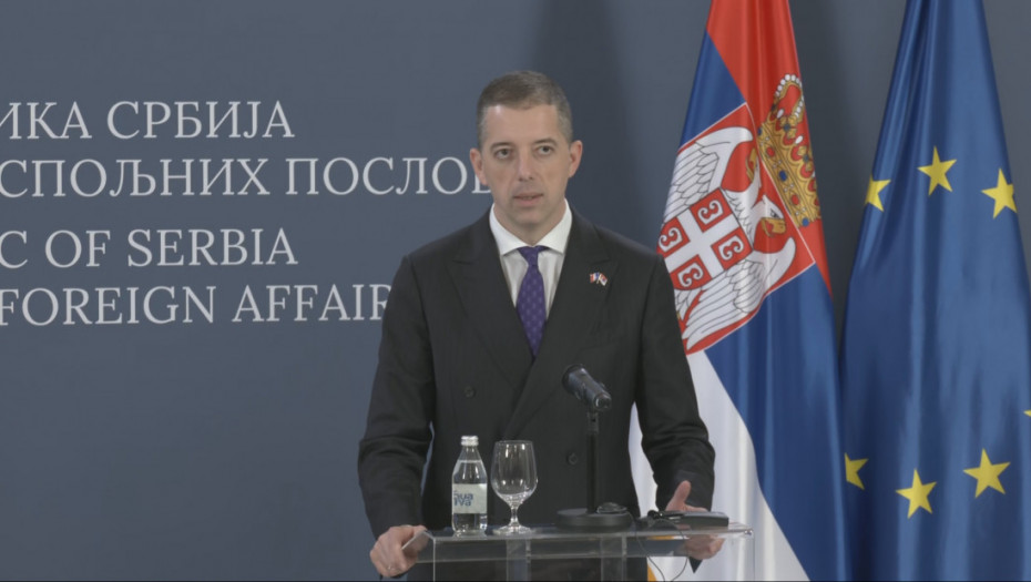 Đurić: Delegacija Evropskog parlamenta će biti primljena, ali nivo prijema je suvereno i diskreciono pravo Srbije
