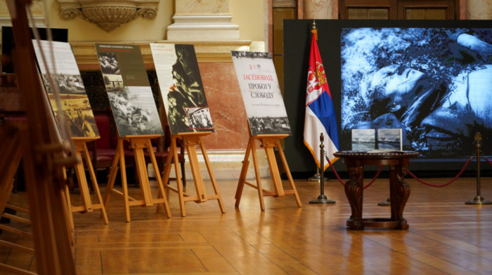 Mirković: Evroparlamentarci traže da ne prođu pored izložbe o Jasenovcu
