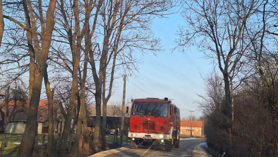 Požar na savskom nasipu: Gori trava, šiblje i nisko rastinje
