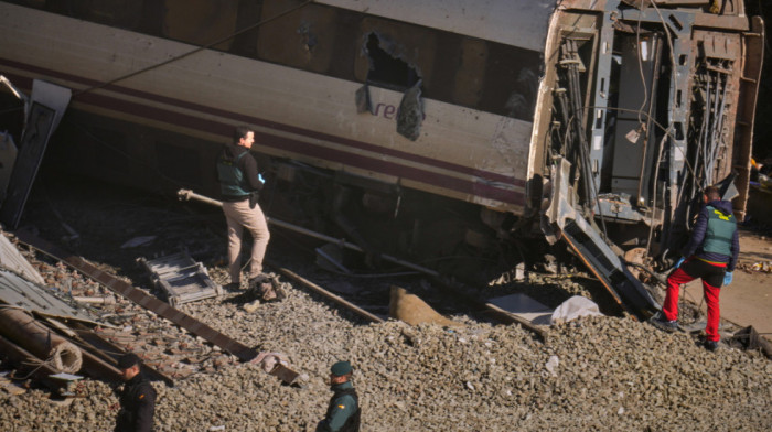 Mešanac Boro se vratio kući: Pas nestao u železničkoj nesreći u Španiji spasen posle četiri dana