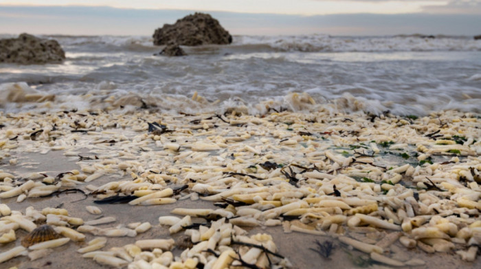 Pomfrit i luk "osvojili" englesku plažu: Oluja pretvorila obalu u kulinarsku katastrofu (FOTO)
