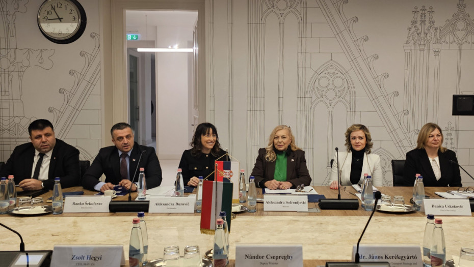 Sofronijević o projektu od izuzetnog značaja: U toku završne aktivnosti na realizaciji brze pruge Beograd-Budimpešta