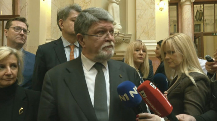 Picula: Evropski parlament ima osnovni set zahteva prema Srbiji