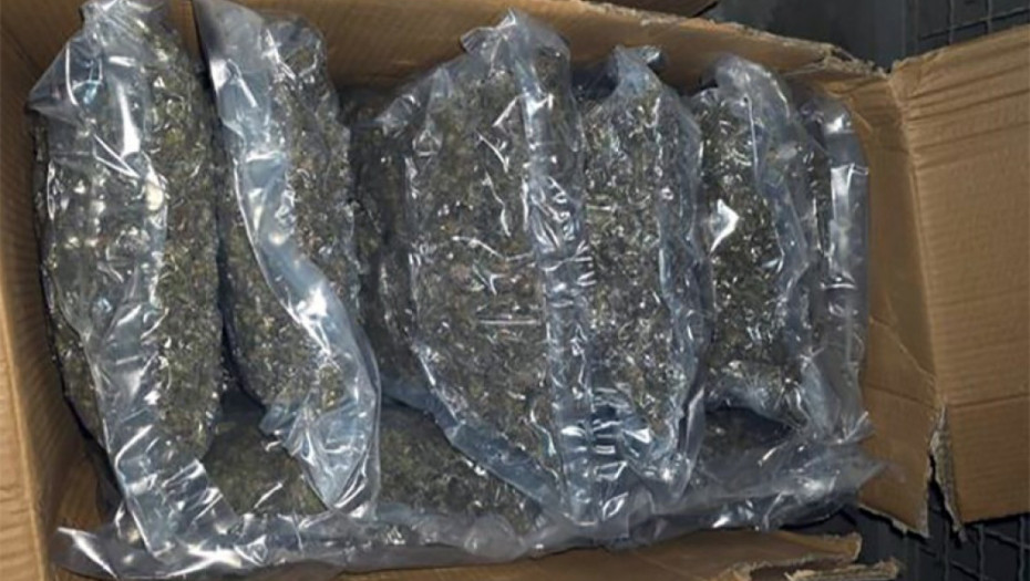 Dačić: Zaplena 100 kg marihuane, uhapšen jedan osumnjičeni