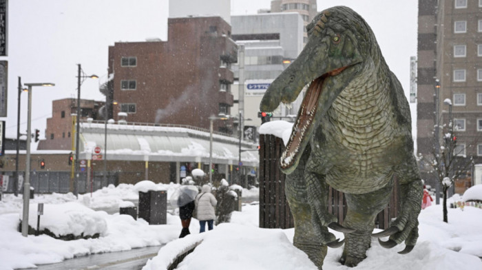 U Japanu napadalo pola metra snega, na Hokaidu hiljade ljudi zarobljene na aerodromu