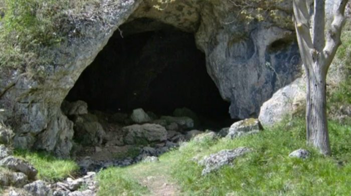 Naučnici otkrili novu vrstu gljive u Sesalačkoj pećini kod Sokobanje, nazvali je po Betmenu