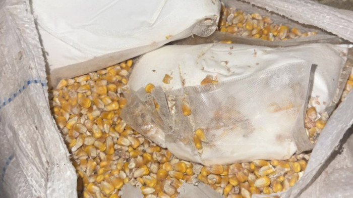 Sakrili skoro dva kilograma "spida" u kukuruz, policija im našla i pištolj sa municijom: Uhapšena dvojica u Rumi