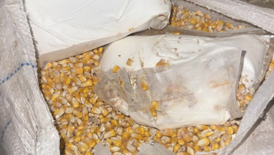 Sakrili skoro dva kilograma "spida" u kukuruz, policija im našla i pištolj sa municijom: Uhapšena dvojica u Rumi