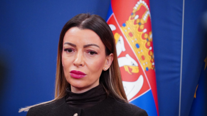 Mesarović: Krivična prijava Marinike Tepić protiv Vučevića kulminacija njene nervoze i pokušaj privlačenja pažnje