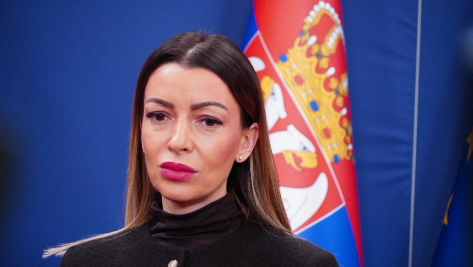 Mesarović: Krivična prijava Marinike Tepić protiv Vučevića kulminacija njene nervoze i pokušaj privlačenja pažnje