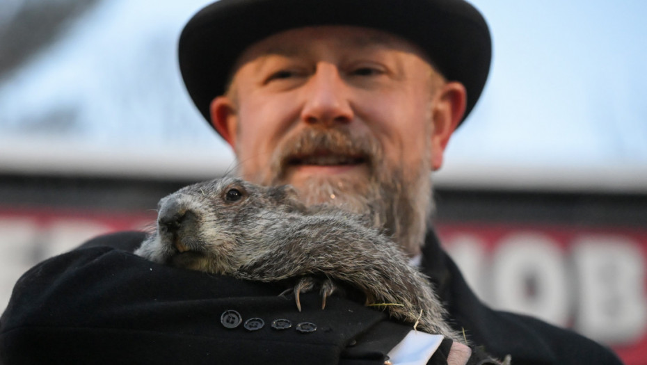 Glodar meteorolog nema lepe vesti: Mrmot Fil "prognozirao" produžetak zime za još šest nedelja
