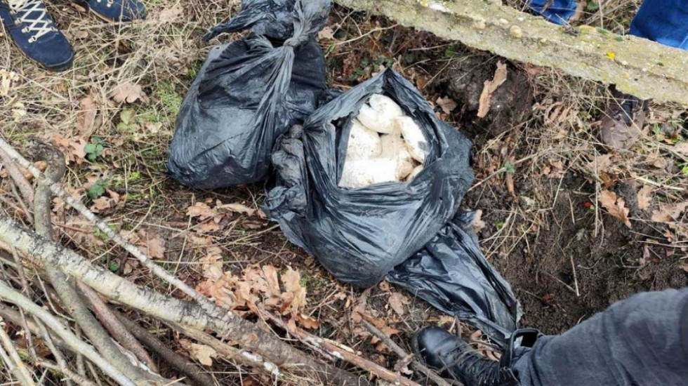 Dačić: MUP i UKP u Pančevu otkrili 25 kilograma zakopanog amfetamina, uhapšena jedna osoba (FOTO)