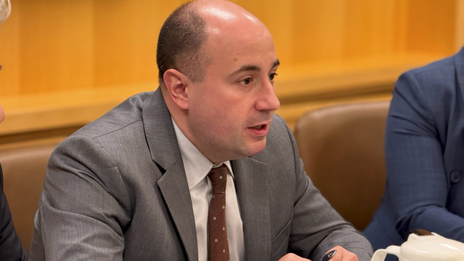 Kozarev: Razmotriti pravnu odgovornost za najprimitivnije napade na porodicu Vučić