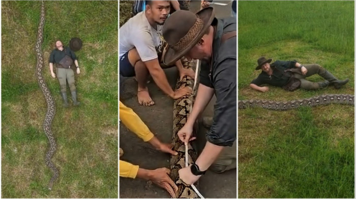 Zastrašujuće stvorenje iz džungle: Piton iz Indonezije najduža zmija ikada izmerena u divljini