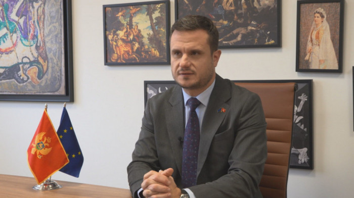 Zenović za Euronews: Može li Crna Gora ove godine da zatvori sva poglavlja u pregovorima sa EU?