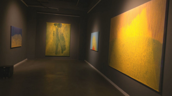 Priroda kao atelje: Izložba Đorđa Stanojevića "Vivid" u Salonu Muzeja grada Beograda (VIDEO)