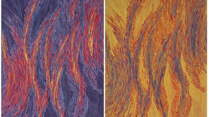 Savremena meksička grafika u Institutu Servantes: Dela koja odgovaraju na izazove i traume savremenog sveta