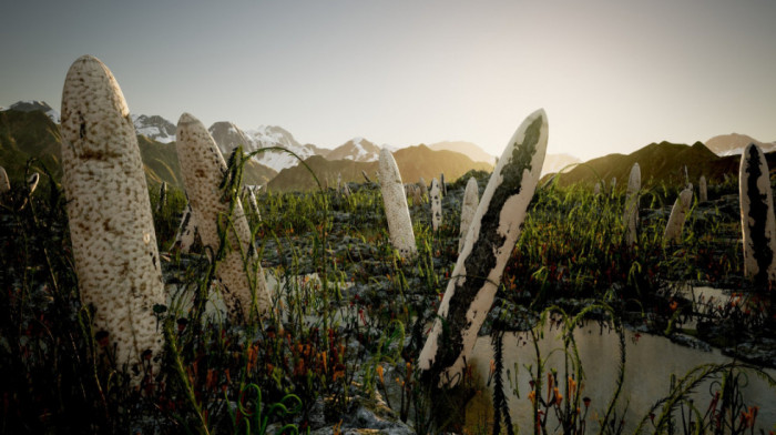 Ni životinje, ni biljke, ni gljive: Misterija najvećih stvorenja koja su naseljavala Zemlju pre 400 miliona godina