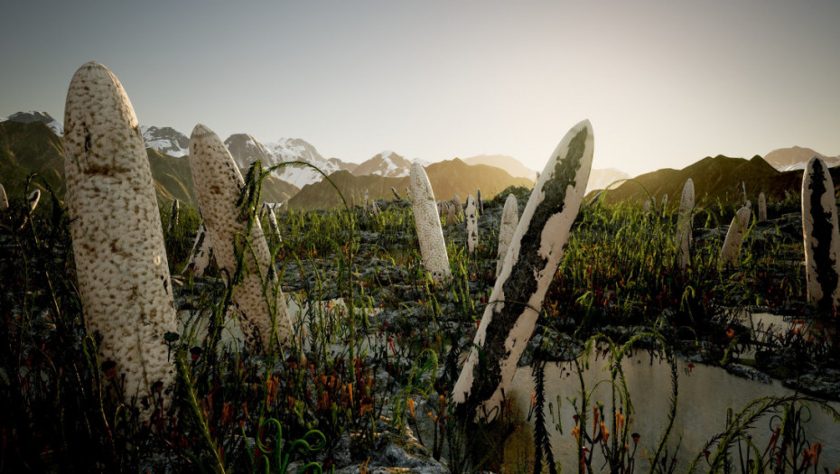 Ni životinje, ni biljke, ni gljive: Misterija najvećih stvorenja koja su naseljavala Zemlju pre 400 miliona godina