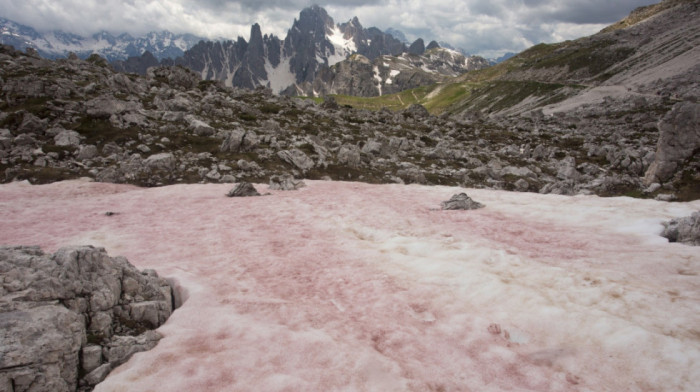 Šta je "krvavi sneg"? Nemačku očekuje redak prirodni fenomen
