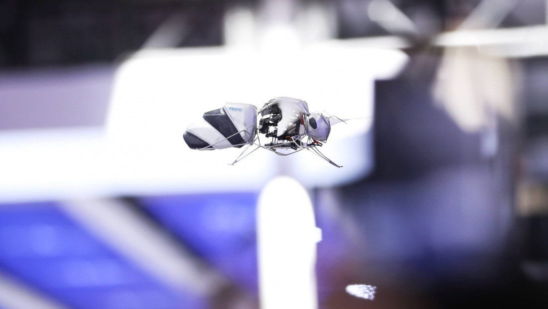 Naučnici u EU i SAD razvijaju robote-pčele zbog nestanka oprašivača