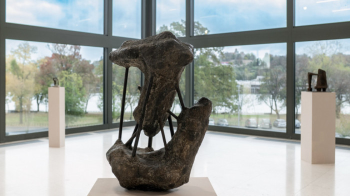 Muzej savremene umetnosti pripremio poseban program povodom Dana državnosti