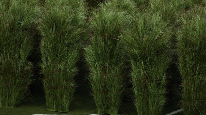 Dok je Bad Bunny nastupao za lajkove, "žbunovi" otišli sa kešom: Inkasirali više od hiljadu dolara