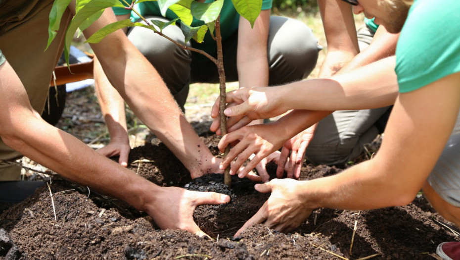 U susret Međunarodnom danu dece obolele od raka na Novom Beogradu posađeno 600 stabala
