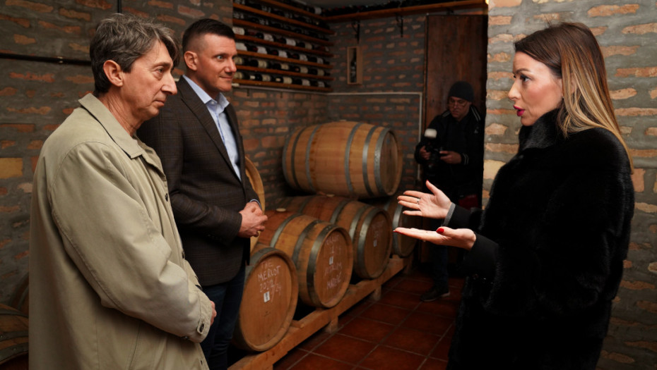 Mesarović: Poseta Smederevskoj Palanci poslužila da se stvori slika o poslovanju preduzetnika