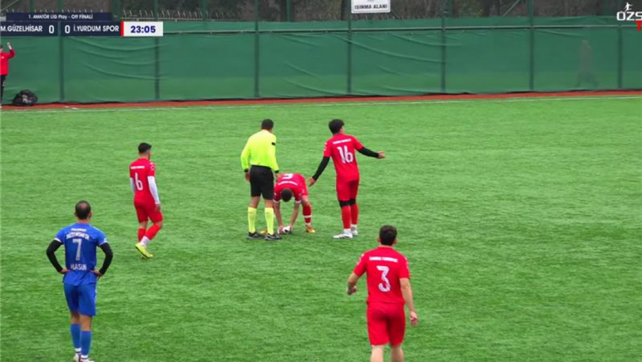 Kapiten turskog fudbalskog tima prekinuo meč, kako bi reanimirao galeba kog je udarila lopta