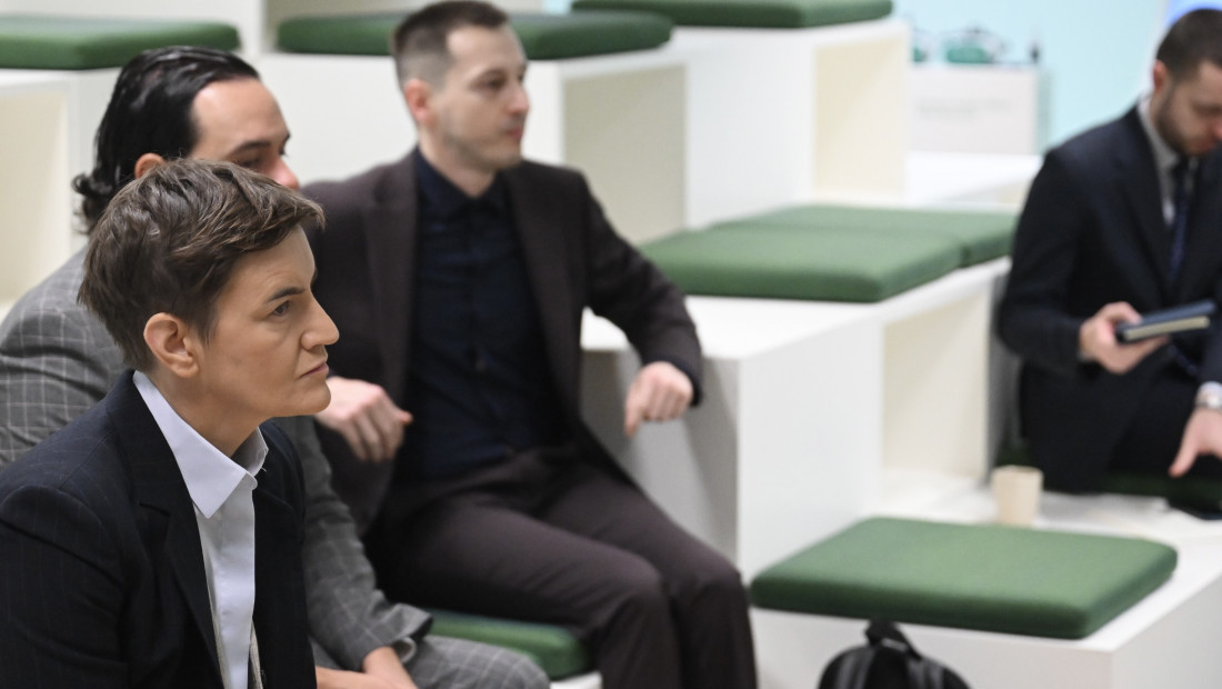 Brnabić posetu Danskoj započela sastankom sa stručnjacima iz oblasti zelene agende