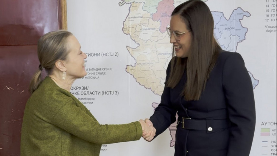 Pavkov: Uz podršku Ujedinjenih nacija do brže zelene tranzicije u Srbiji