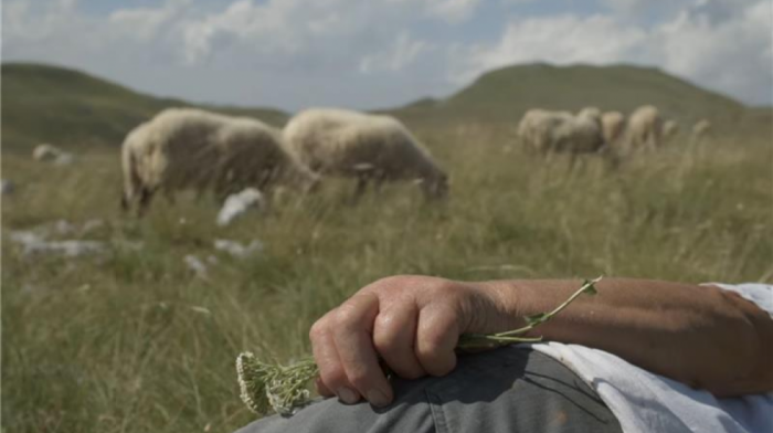 Srpsko-crnogorski film "Planina" posle Sandensa ide u Kopenhagen i Pariz