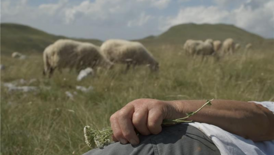 Srpsko-crnogorski film "Planina" posle Sandensa ide u Kopenhagen i Pariz