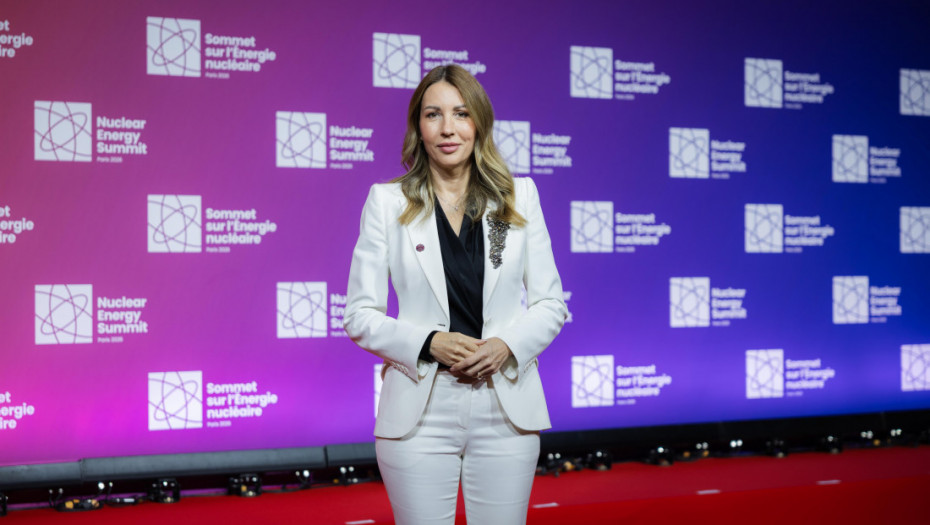 Đedović: Srbija bi oko 2040. mogla da dobije prvu nuklearnu elektranu na mreži