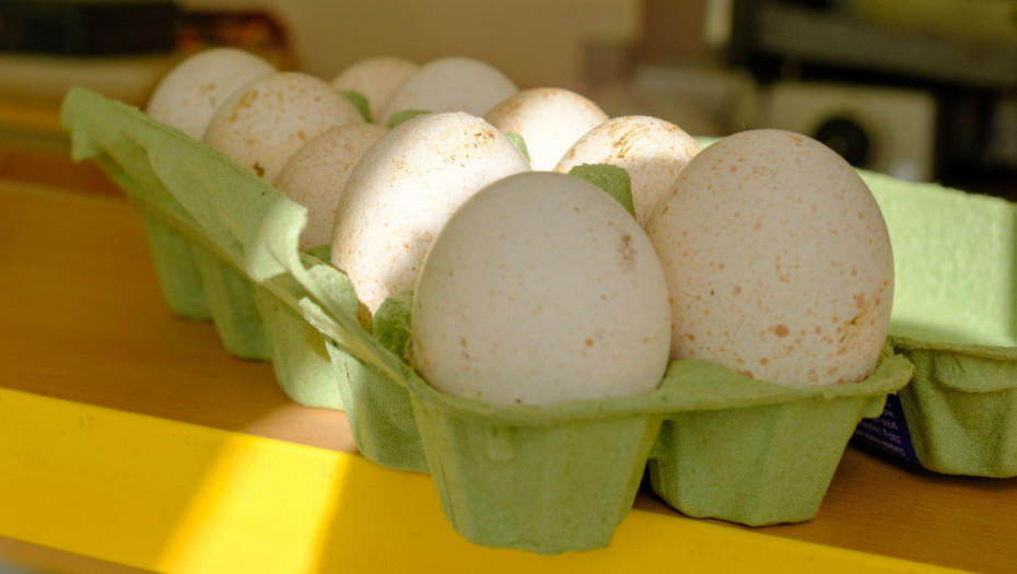 Zašto nikada ne viđamo ćureća jaja u supermarketima? Razlog je prost, ali iznenađujuć