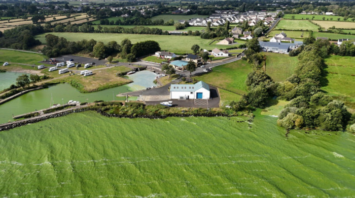 Severna Irska: U najvećem jezeru otkriveni geni sposobni da stvore superbakterije otporne na antibiotike