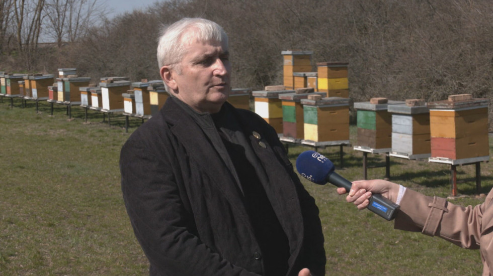 Neizvestan opstanak pčelarstva: Proizvođači se žale na sve teže uslove rada, problemi kulminirali tokom jeseni