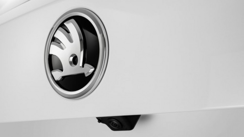 NEPRO: Sa tržišta se povlači "škoda kodijak" zbog rizika od povreda