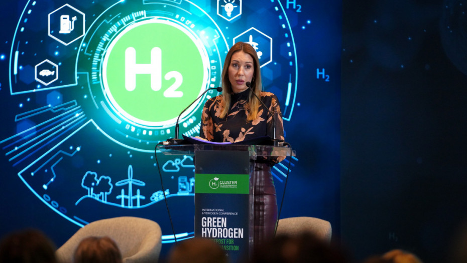 Đedović: Srbija se priprema za primenu zelenog vodonika u industriji i transportu