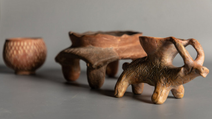 Izložba "Hleb i riba. 80 vekova Donje Branjevine": Vraćamo se 8.000 godina unazad u neolitske zajednice Srbije