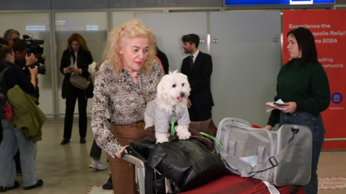 "Moj mačak je moja porodica": Specijalni grčki let za evakuaciju vlasnika i kućnih ljubimaca sa Bliskog istoka (FOTO)
